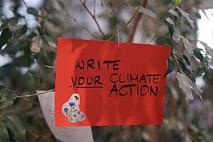 Klimakrise: Nachhaltige Projektideen gesucht – Workshop und Zukunftswerkstatt von Südwind und Robert-Jungk-Bibliothek für&nbsp;Schulen